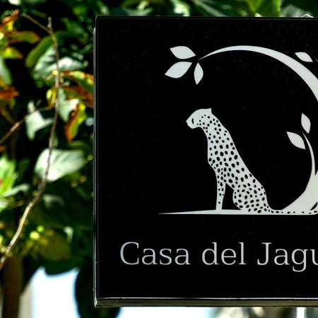 Casa Del Jaguar Beach Hotel Isla Mujeres Eksteriør billede