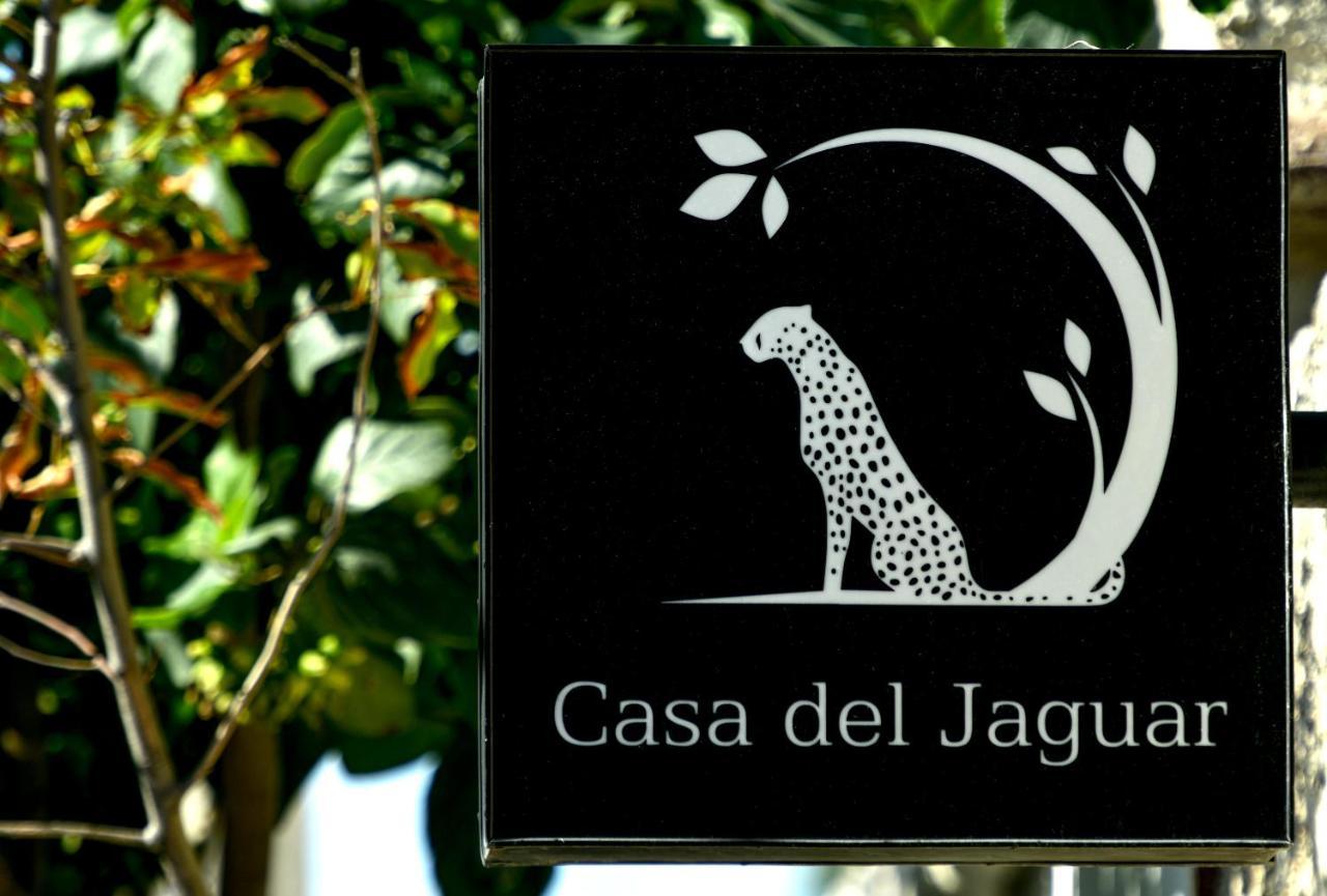 Casa Del Jaguar Beach Hotel Isla Mujeres Eksteriør billede